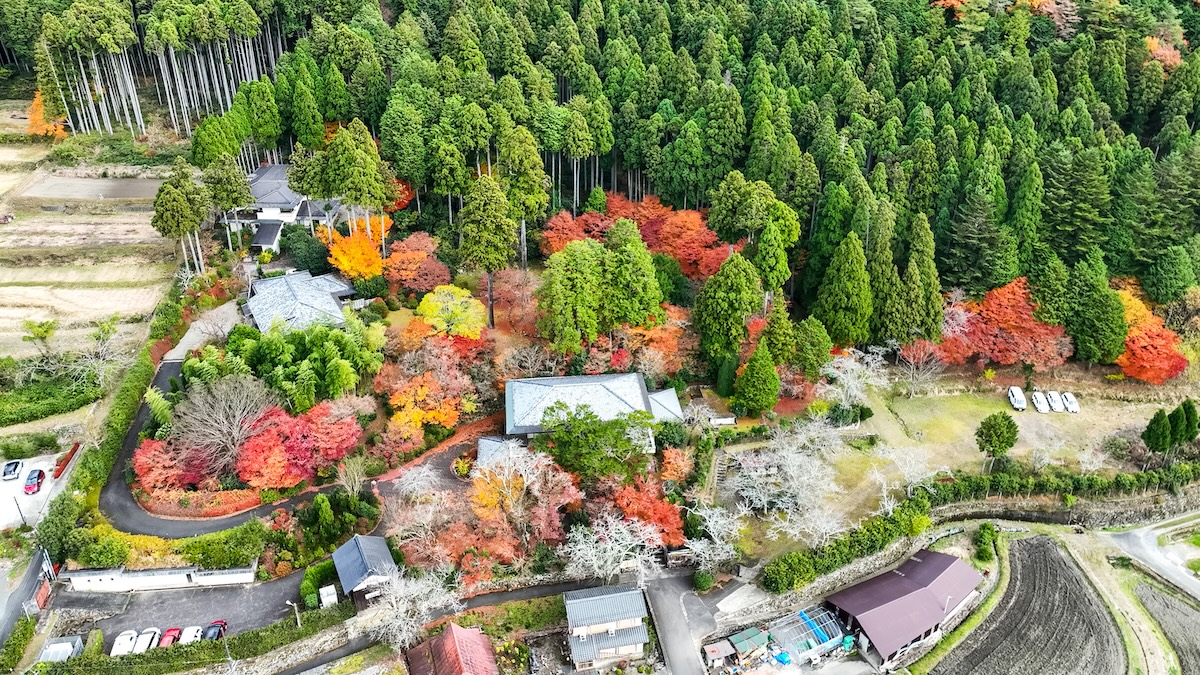 大原山荘の風景